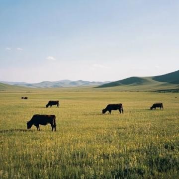 内蒙古经济实惠旅游攻略:草原沙漠湖泊5至7天行程推荐