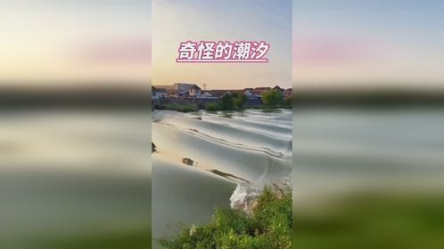 第一次见！罕见的潮汐现象