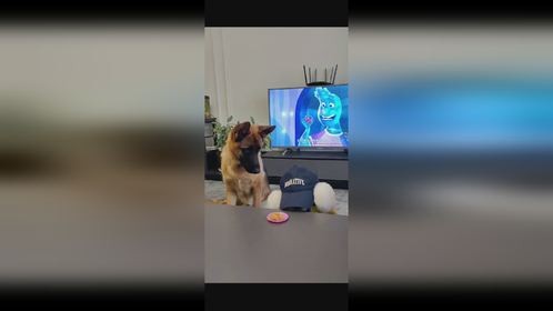 聪明的狗子一定不能棍棒教育，要用亲身示范加飞鞋功震慑。