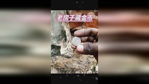 老房子底下挖出金币