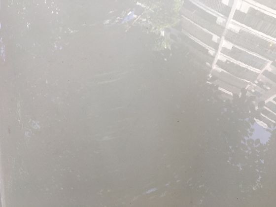 从墙面到抽屉，家居不同区域防虫防潮重点不同，针对性方法全解析