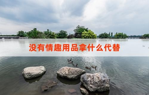 没有情趣用品拿什么代替