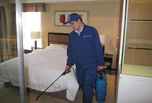 春季应该如何消杀?家庭版这几种消毒防病的方法你会吗?-东方汉诺-北京快讯