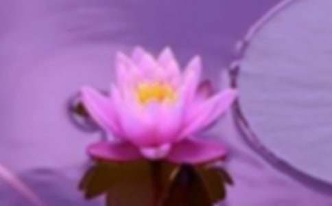 关于和谐的作文汇编7篇