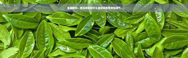 全面解析：普洱茶配搭什么食材更能有效祛湿气