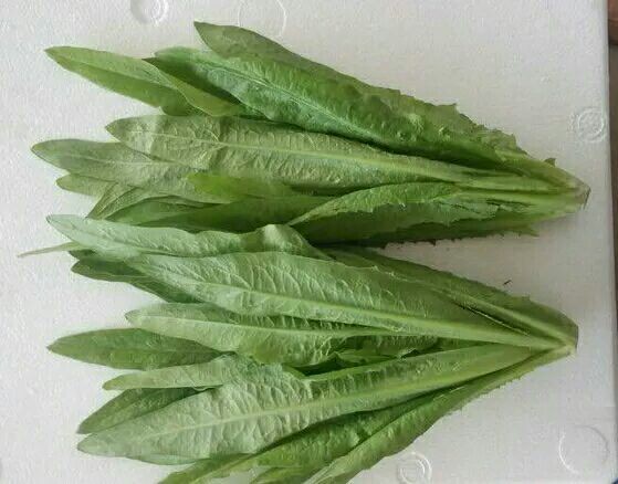 新鲜的小白菜和油麦菜整齐摆放在木质案板上，背景为厨房环境，光线自然明亮