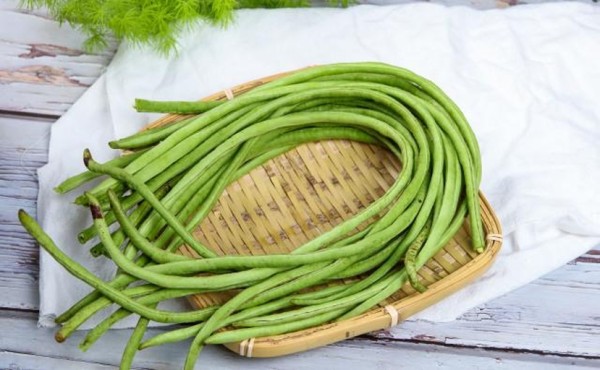 苦瓜与新鲜长豆角并列摆放的特写照片