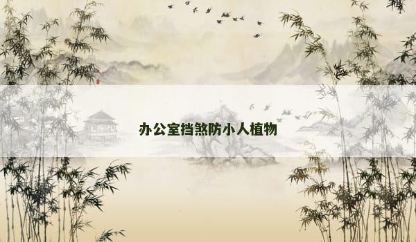 办公室挡煞防小人植物