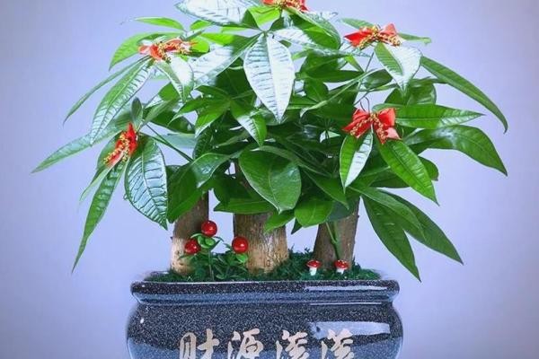 绿植办公桌：提升运势，让工作与风水相得益彰