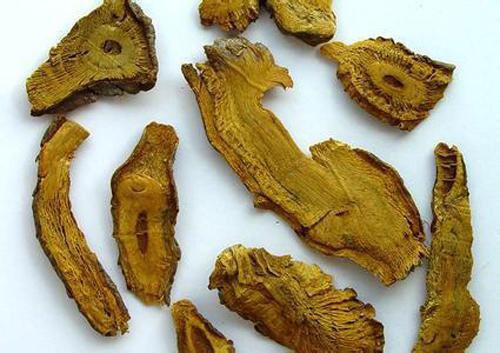 虎杖的营养价值 第4张