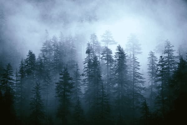 装修知识内墙设计(内墙装饰效果的三要素)