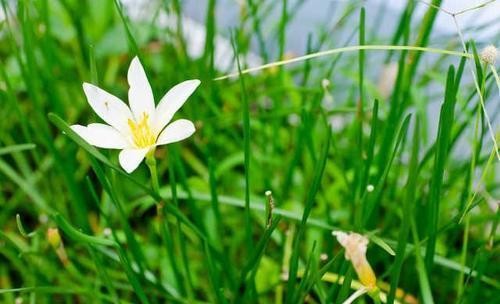 个人形象的重要性-论穿衣打扮