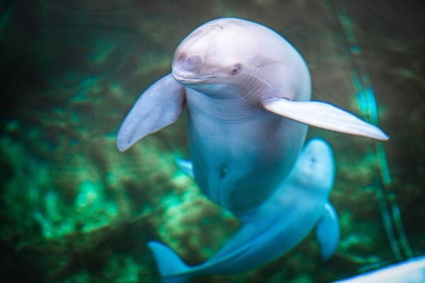 WeChat Image_20231103151841.png