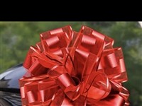 婚礼过后出闲置，有纸杯，纸碗，礼花炮，红包，跪垫拉花等等，因在淘宝买的早，无法退货，现便宜出！