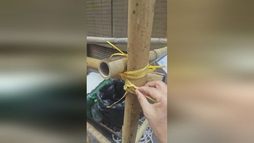 那些竹制搭建的架子