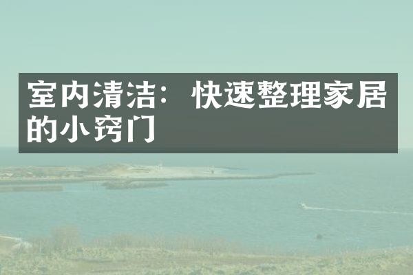 室内清洁：快速整理家居的小窍门