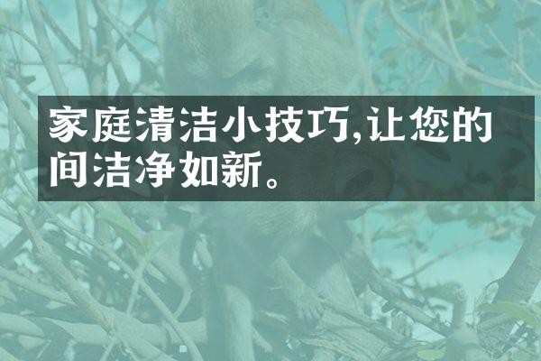 家庭清洁小技巧,让您的房间洁净如新。