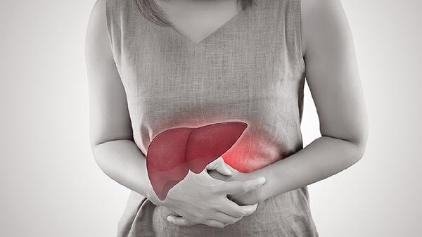 脂肪肝吃素食会好吗