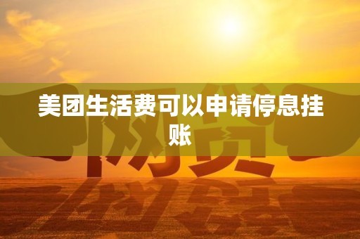 美团生活费可以申请停息挂账