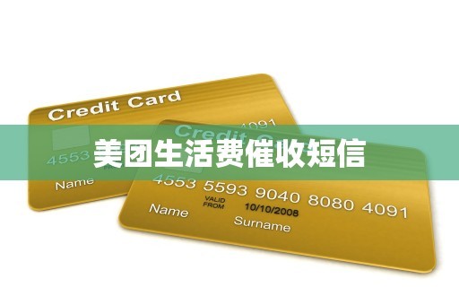 美团生活费催收短信