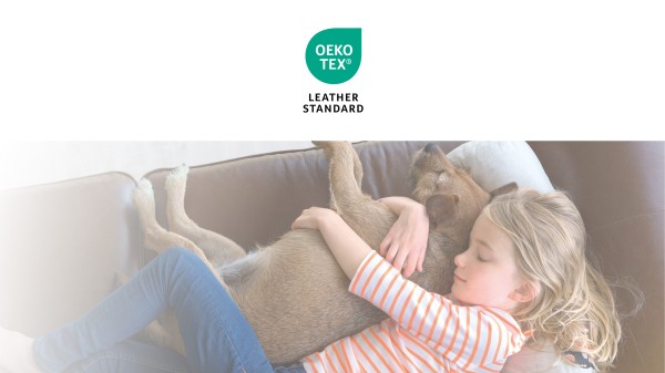 亚马逊气候友好承诺的主要措施是什么？