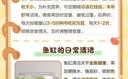 观赏鱼养殖，新手必知哪些常识？