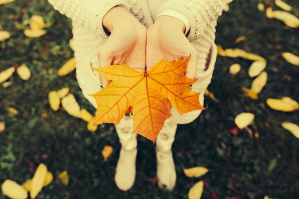 今年立秋具体的时间是几点几分 立秋养生全指南