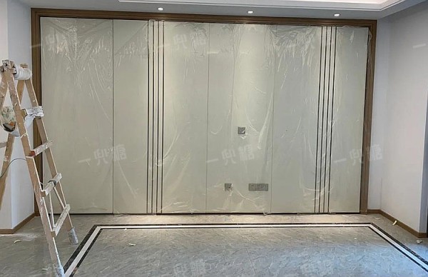 家的装修效果图