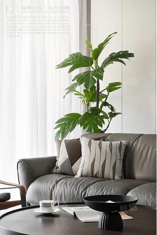 家的装修效果图