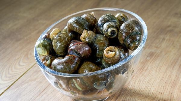 怎样快速清洗田螺外壳