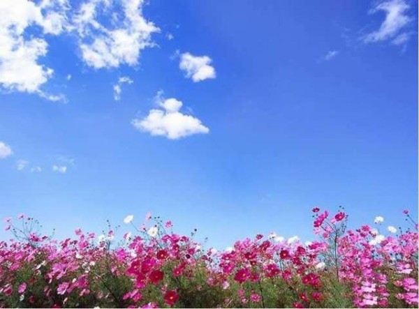 简单朴素的活着,淡泊从容的心态