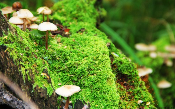 男性生育能力检查项目有哪些