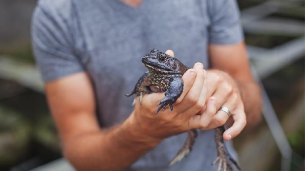 吃什么东西才能够抗衰老 给你推荐7款食疗方法轻松抗衰老
