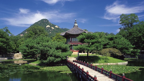 揭秘Bra的奥秘,从历史到现代的女性内衣演变