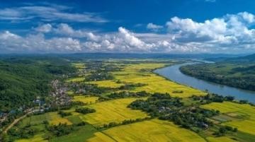 西双版纳一日游攻略：自然、文化和动物之旅推荐线路