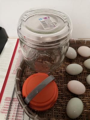 盐水腌制咸鸭蛋的做法 步骤3