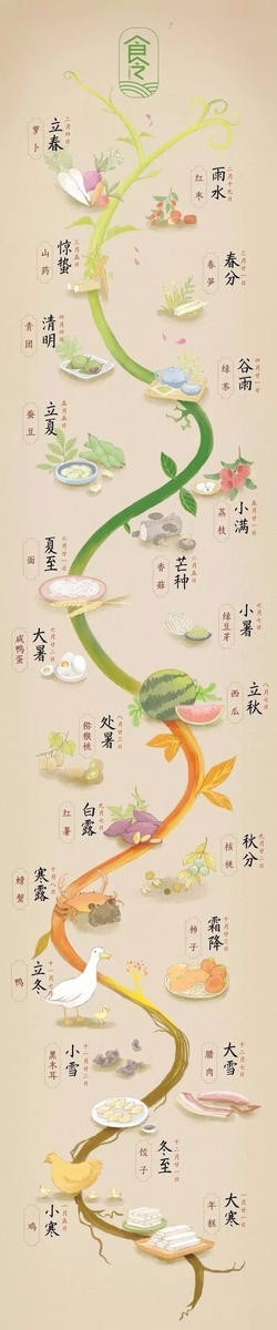 一年24节气都该吃些什么东西!