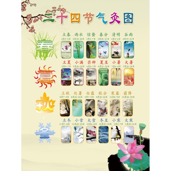 二十四节气灸图中医推拿经络穴位美容院养生装饰画拔罐写真
