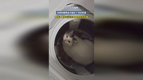 主人去找猫咪，没想到猫咪自己躲在了洗衣机里，网友：其实它正在准备给你洗衣服
