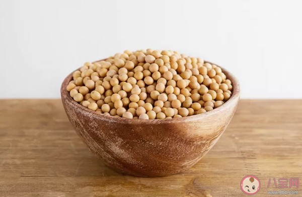 优质蛋白质食物排行榜 吃什么食物补充优质蛋白质