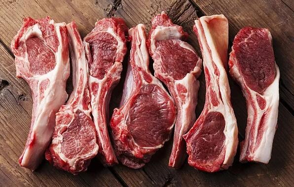 常见蛋白质含量高的十佳食物