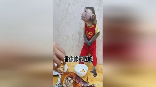 你说这玩意这么香，你自己咋不吃呢