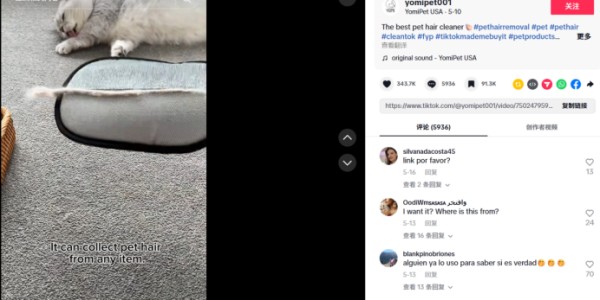 74%毛利!一个小众扫帚正在海外宠物圈疯卖