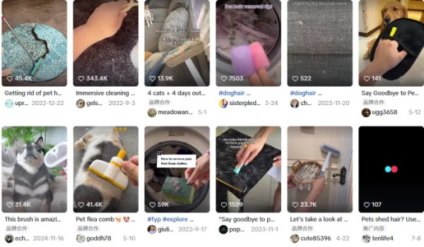 74%毛利!一个小众扫帚正在海外宠物圈疯卖