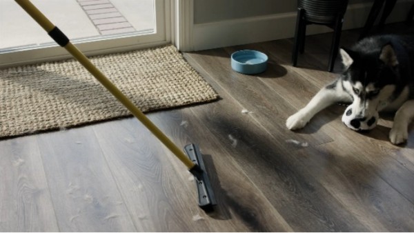 74%毛利!一个小众扫帚正在海外宠物圈疯卖