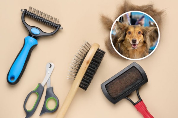 74%毛利!一个小众扫帚正在海外宠物圈疯卖