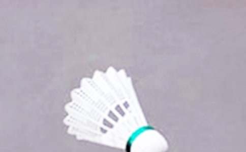 羽毛球比赛方案(通用15篇)