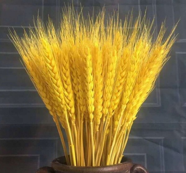 家里放什么摆件风水好？