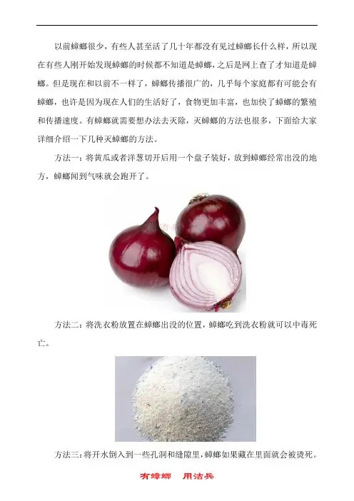 家中蟑螂怎么彻底消灭