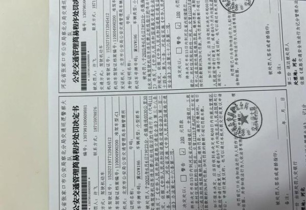 三十万买车十年保养好二手只值两万五？-有驾